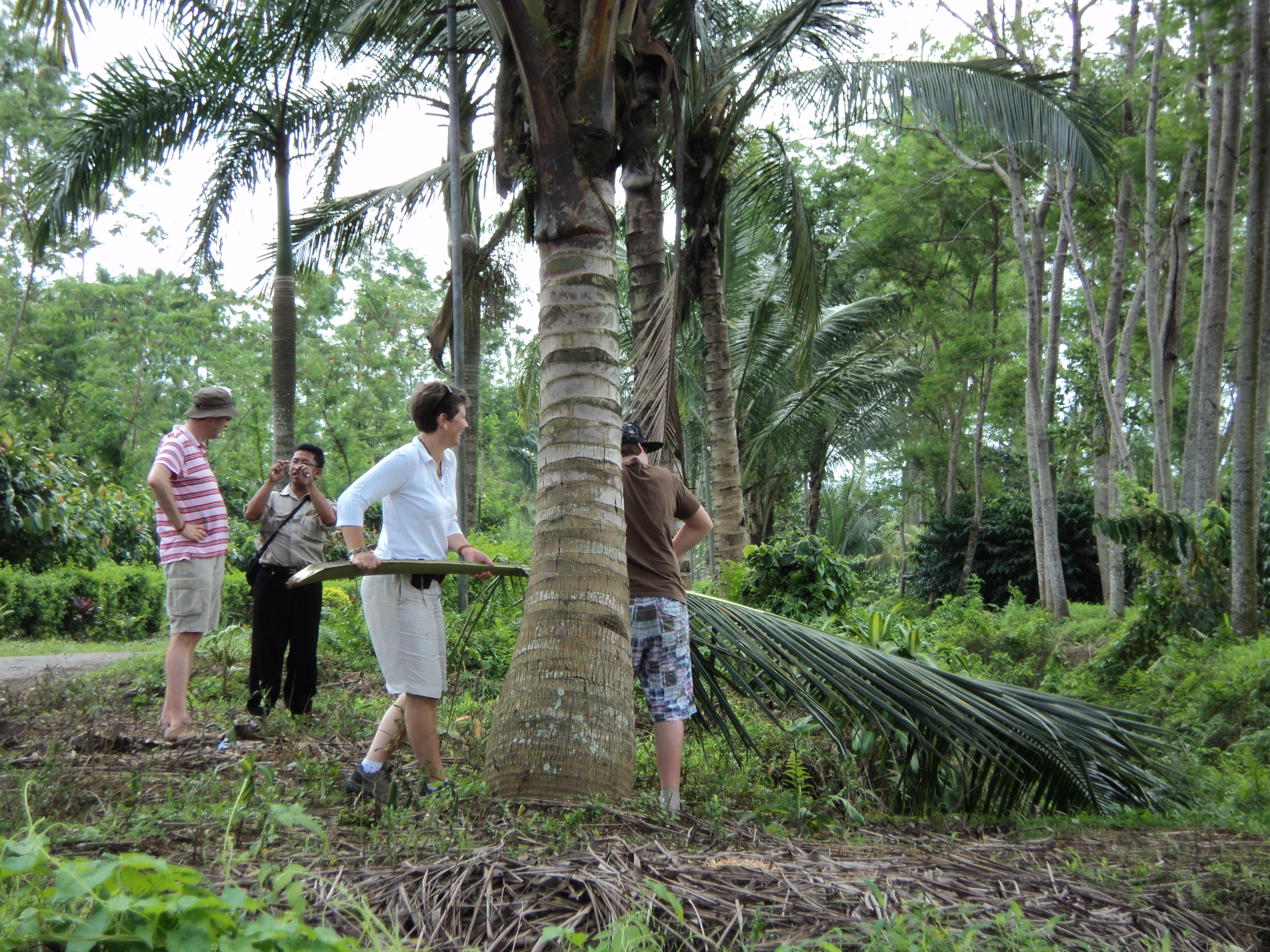 Yogyakarta South Coast Beach Tour